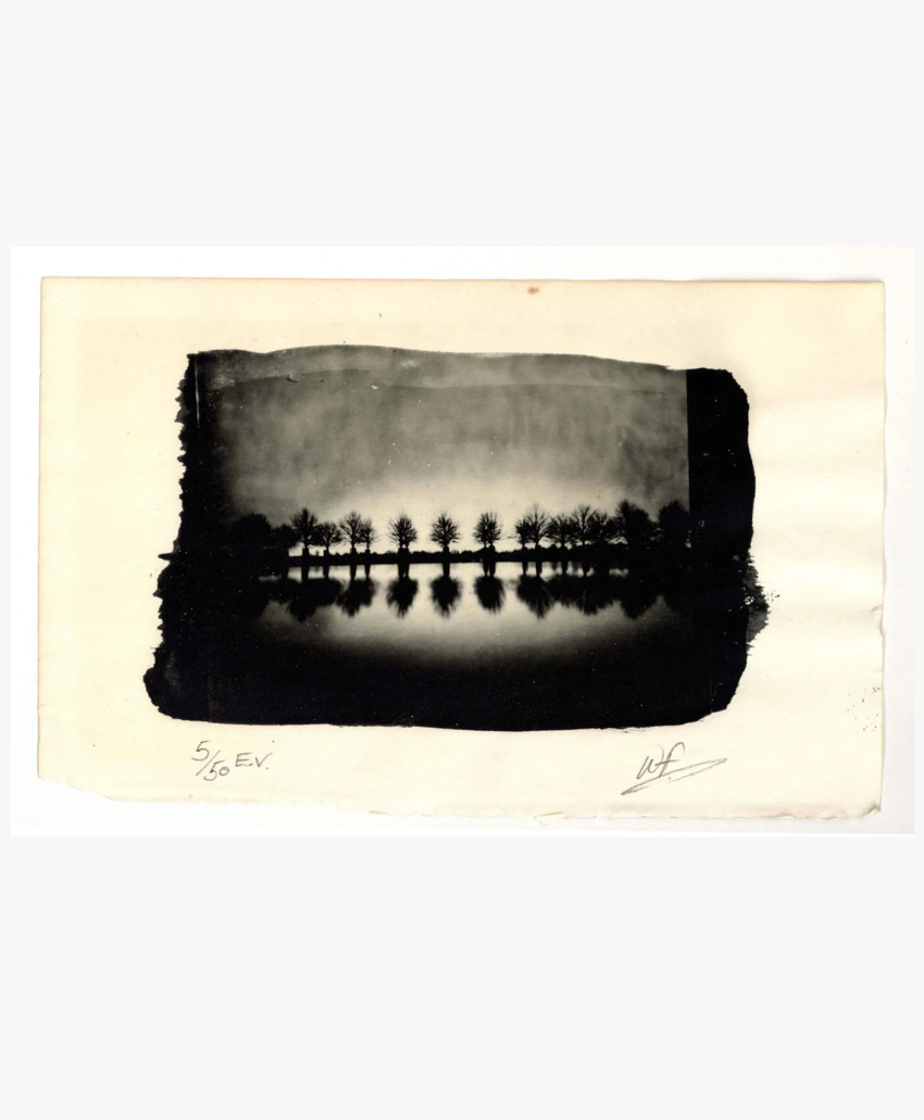 Hampton Court Park, London - Wayne Foskett