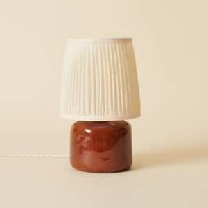 The Bookshelf Lamp