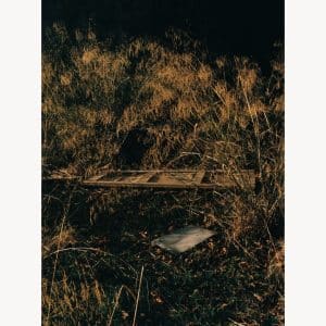 Basking - Hannah Ackroyd