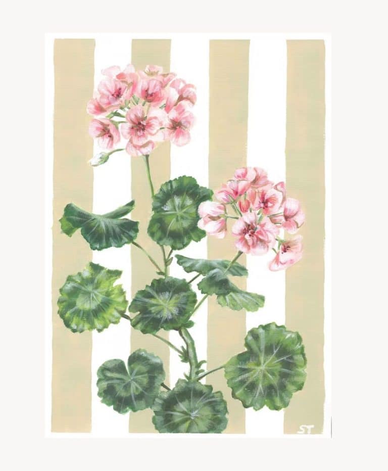 Geranium on Yellow Stripe’ Fine Art Print (Unframed)