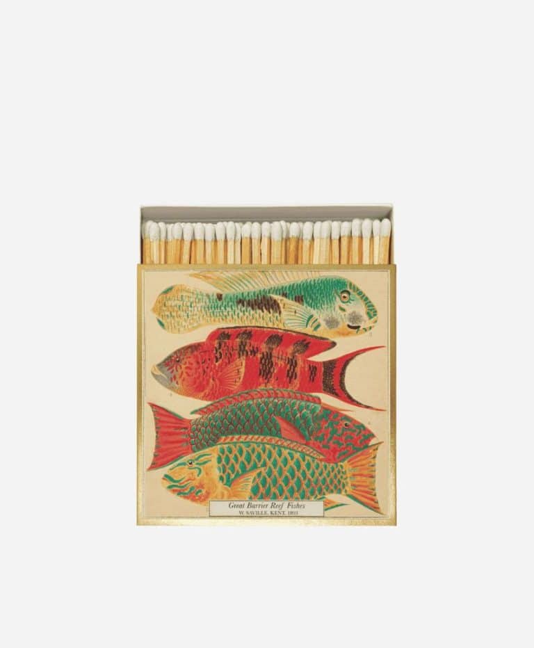 NH Museum Fish Matches