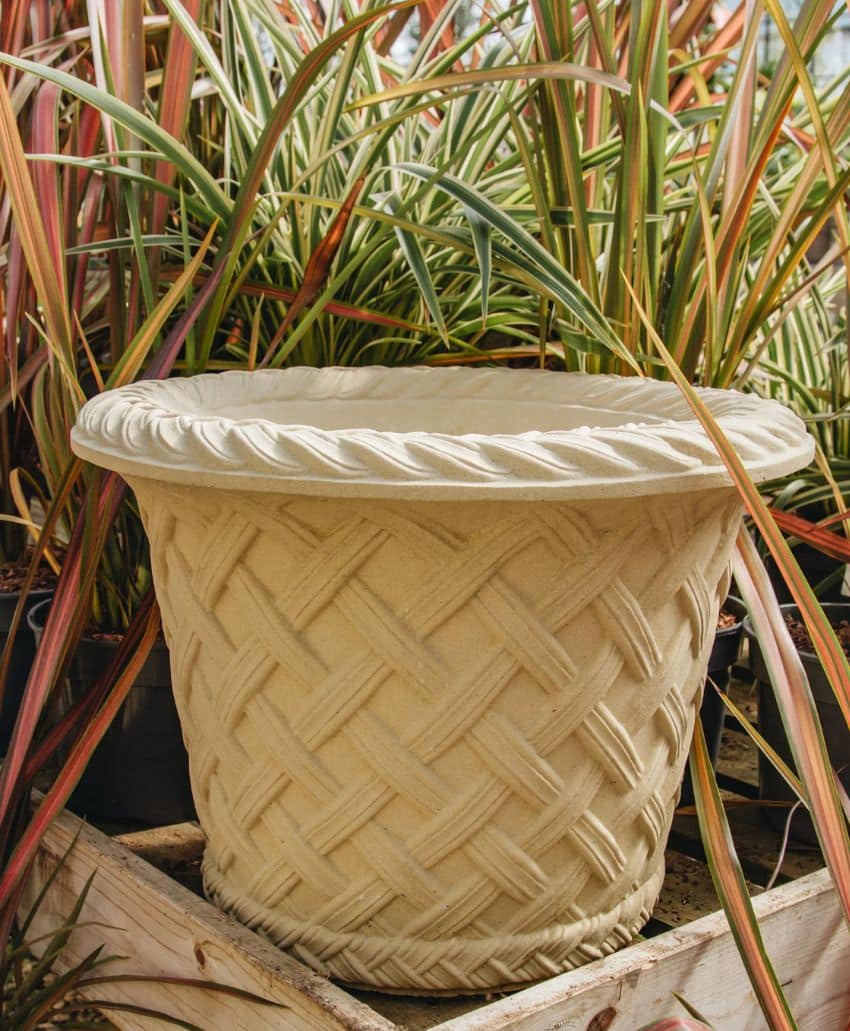 A large, beige, woven-pattern planter sits empty in front of tall, multicolored ornamental grasses, displayed outdoors on a wooden surface.