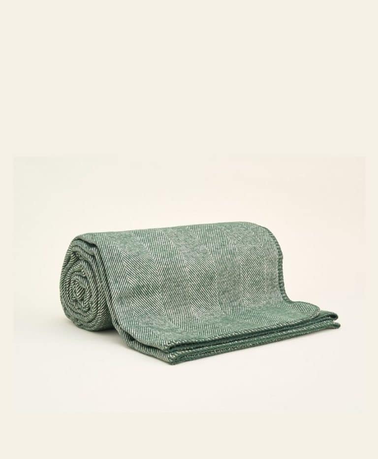 The Newt Picnic Blanket