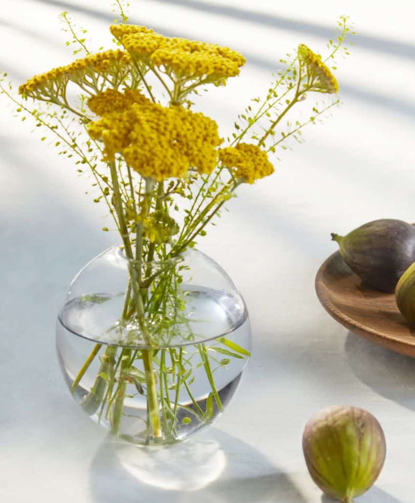 A round glass vase with yellow flowers sits on a light surface next to a wooden plate with figs and a single fig in the foreground. Sunlight casts soft shadows across the scene.