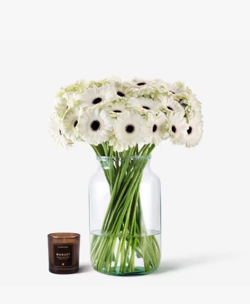 A bouquet of white gerbera daisies with dark centers arranged in a clear glass vase, next to a small dark brown scented candle labeled NUGUET, set against a plain white background.