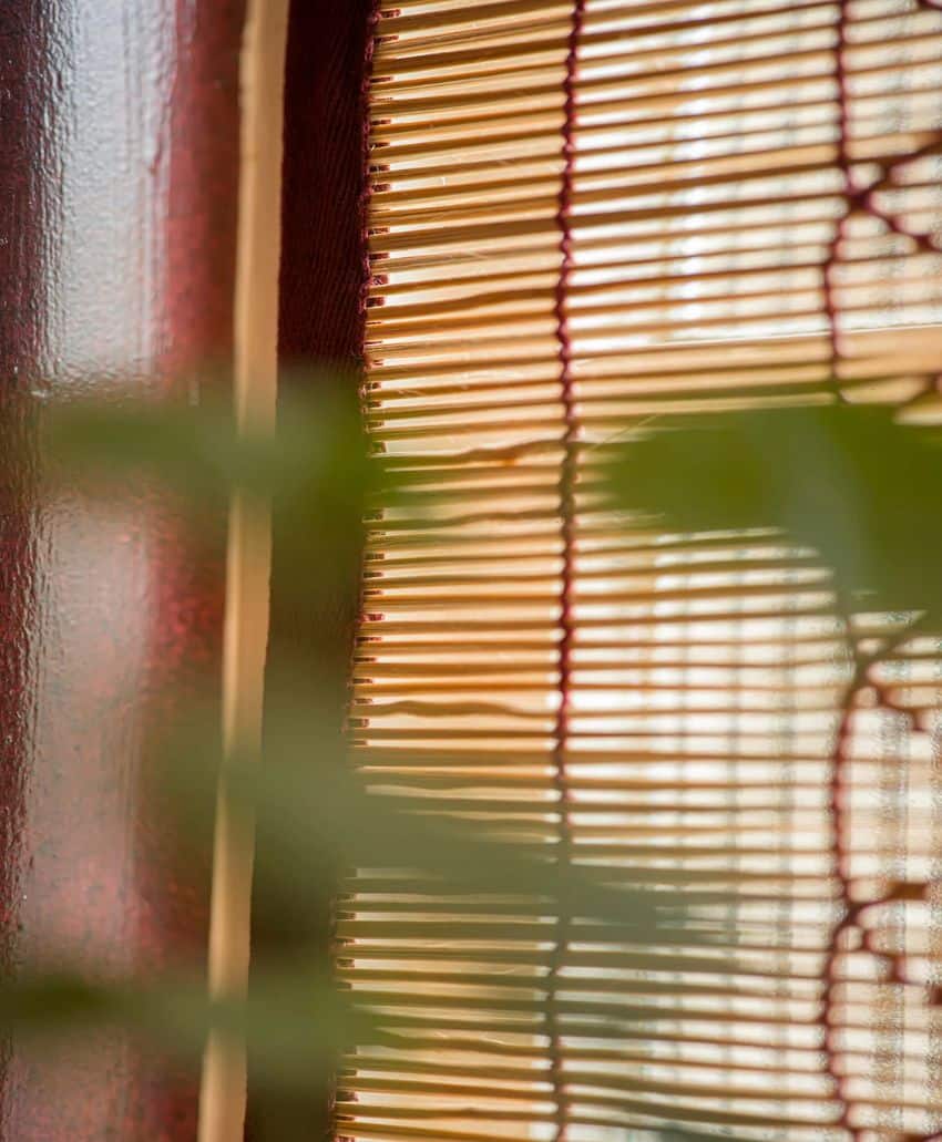 Close-up of a bamboo window blind with sunlight shining through. A green plant is out of focus in the foreground, and part of a reddish-brown wall is visible on the left side.