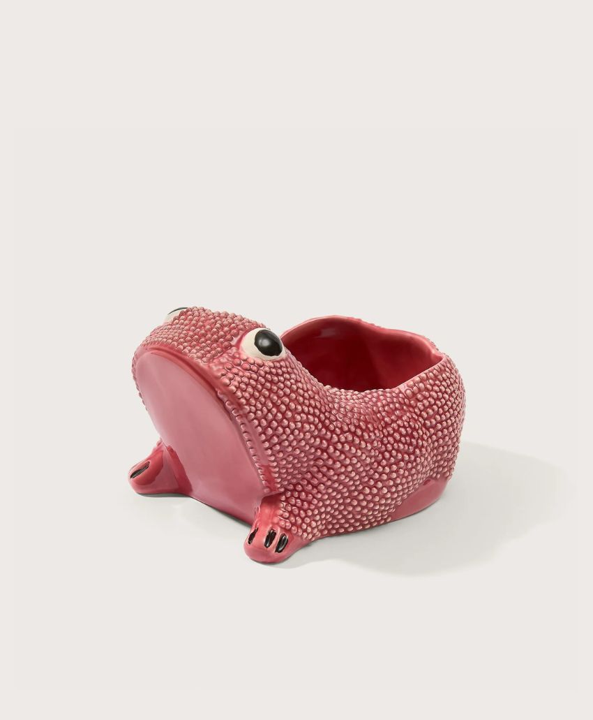 A small, pink, textured ceramic planter shaped like a frog with big eyes and an open back for holding a plant.