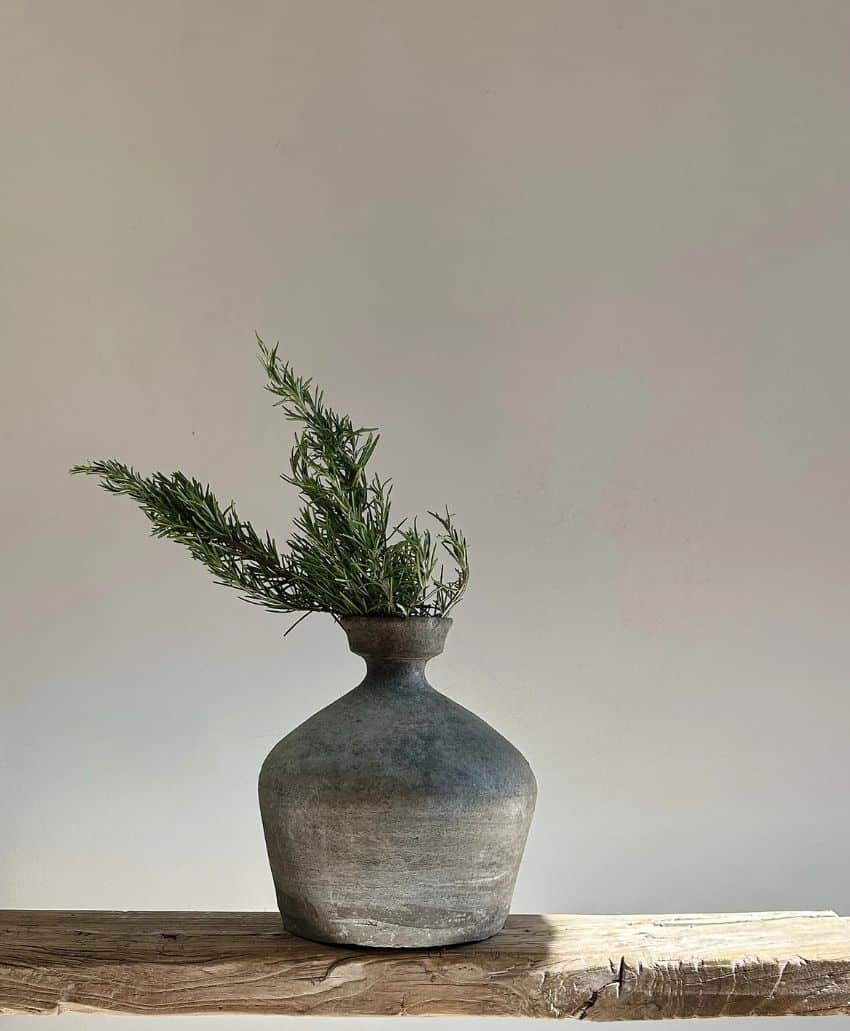 A rustic gray ceramic vase holding sprigs of greenery sits on a rough wooden surface against a plain, light-colored background.