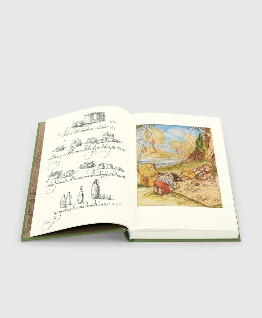An open book showing a black-and-white illustrated page on the left and a colorful drawing of animals having a picnic outdoors on the right, with a plain light background.