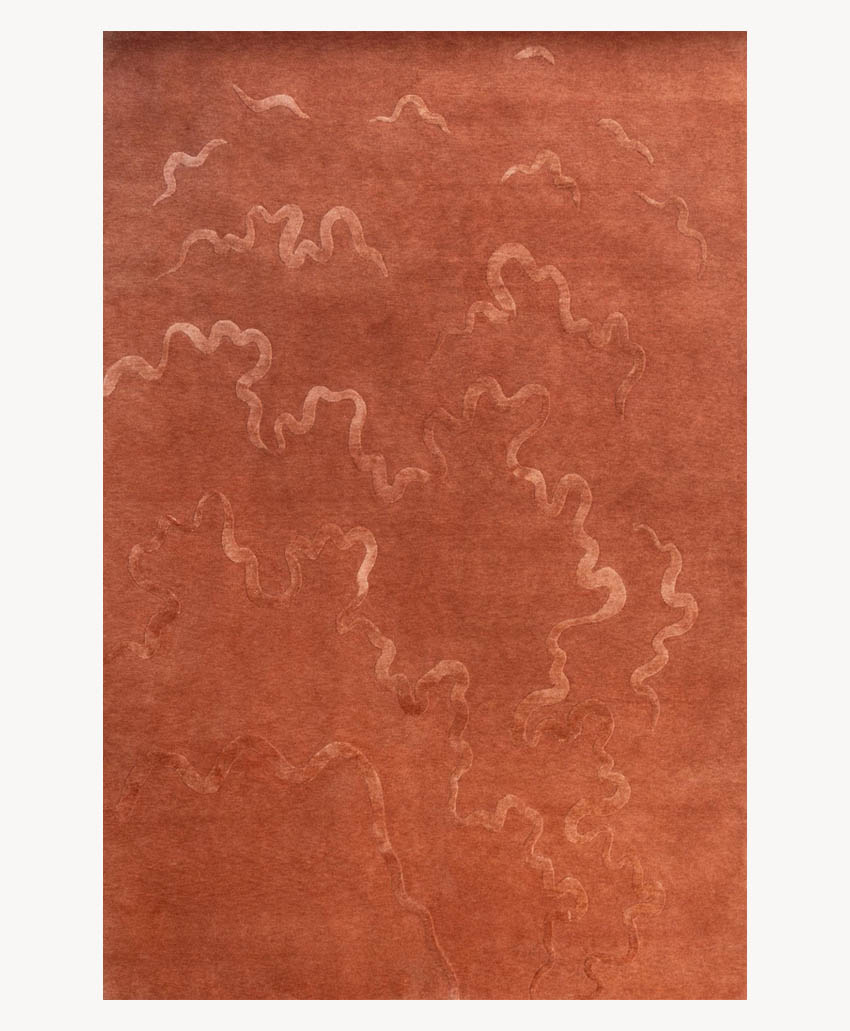 A rust-colored area rug features subtle, wavy, cloud-like patterns in a slightly lighter shade, creating a soft, textured appearance.