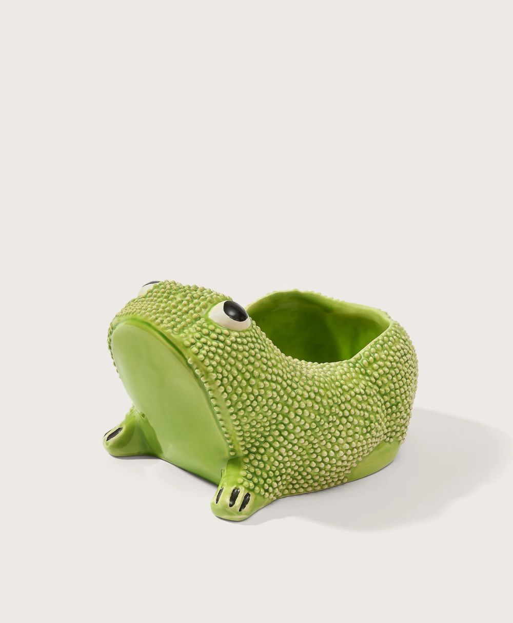 A small, green, ceramic frog planter with textured skin and large eyes, featuring an open back for holding a plant or small items.