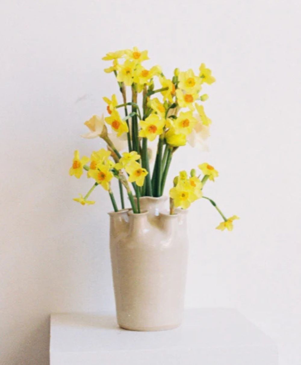 A bouquet of bright yellow daffodils arranged in a simple, light-colored ceramic vase, placed on a white surface against a plain white background.