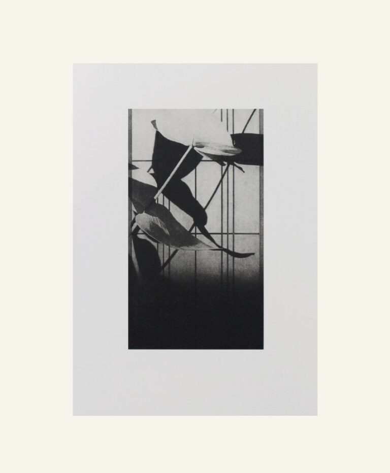Amy-Jane Blackhall | Shoji 2