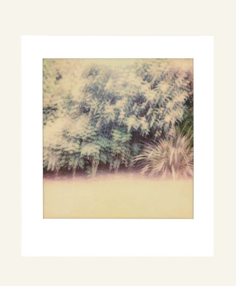 Tamsin Relly | Into the Day